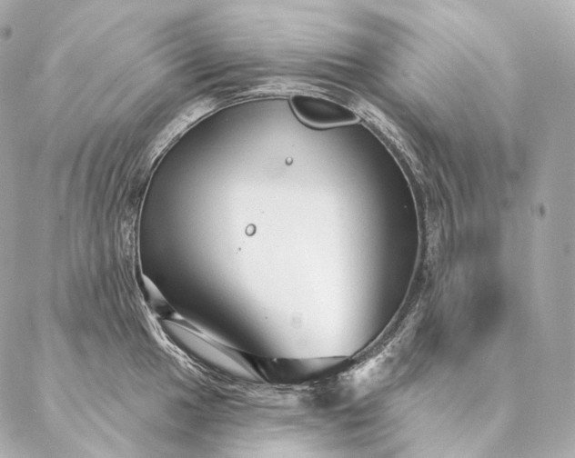 X0000086951049200704231421