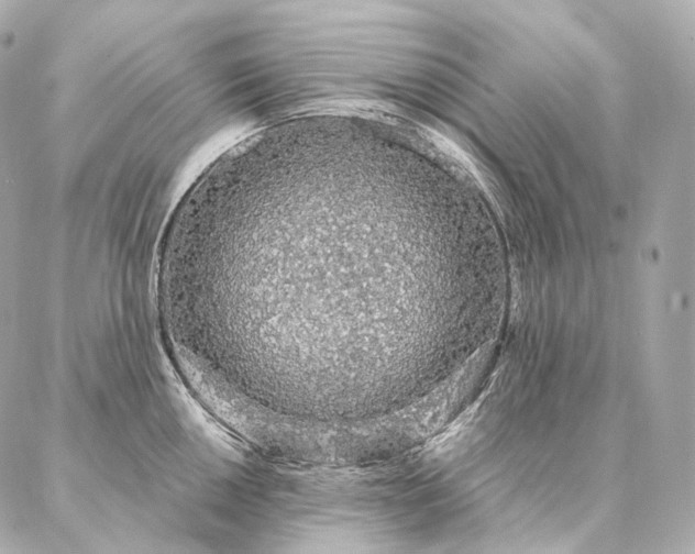 X0000086951050200704231421