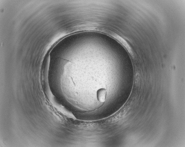 X0000086951051200704231421