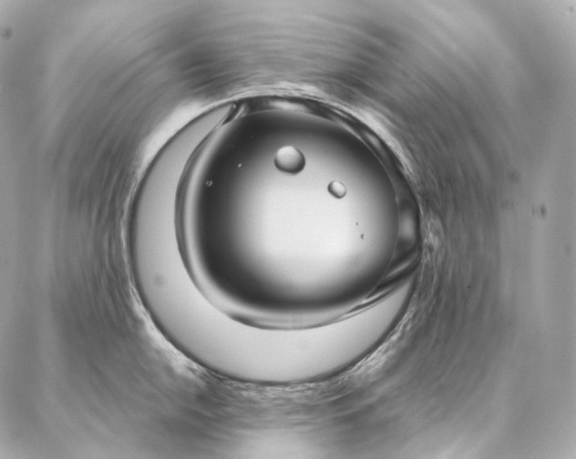 X0000086951054200704231421