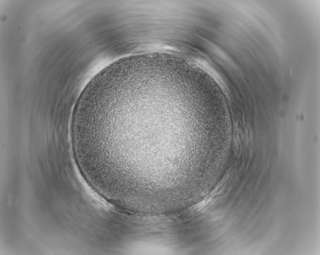 X0000086951055200704231421