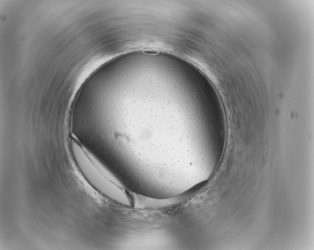 X0000086951056200704231421