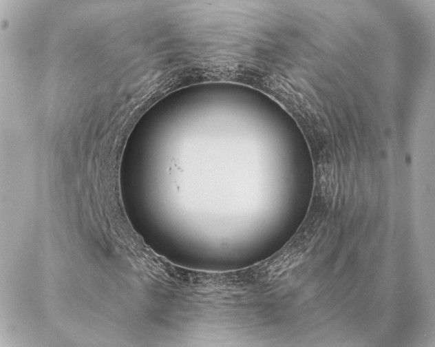 X0000086951057200704231420