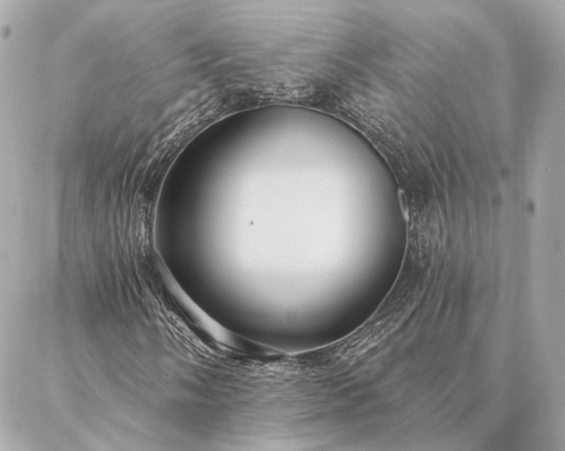 X0000086951058200704231420