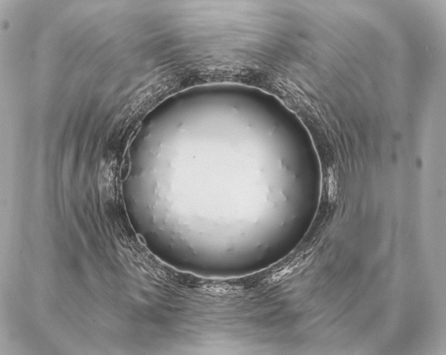 X0000086951059200704231420