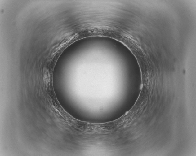 X0000086951061200704231420