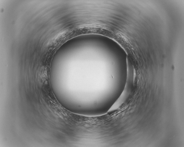 X0000086951062200704231420