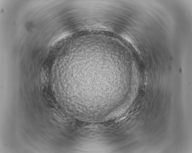 X0000086951063200704231420