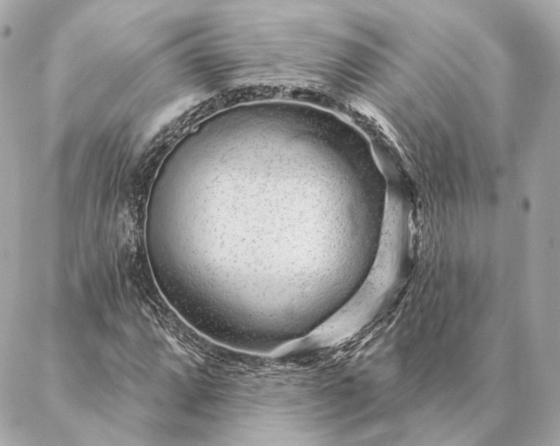 X0000086951064200704231420