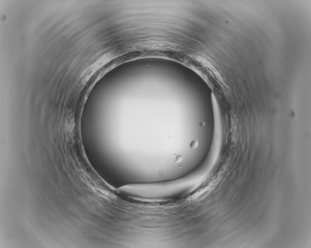 X0000086951065200704231420