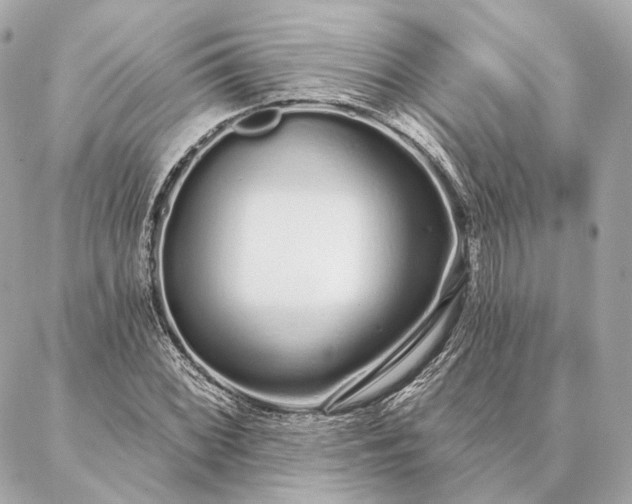 X0000086951068200704231420