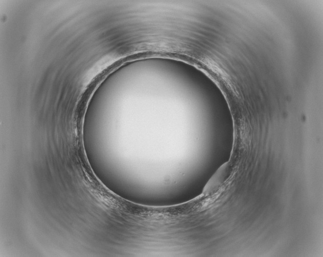 X0000086951070200704231420