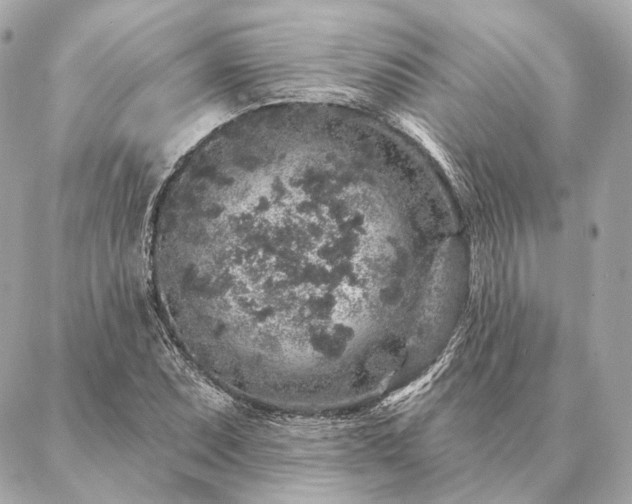 X0000086951071200704231420