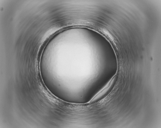 X0000086951072200704231420