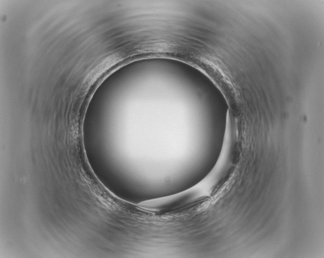 X0000086951073200704231420