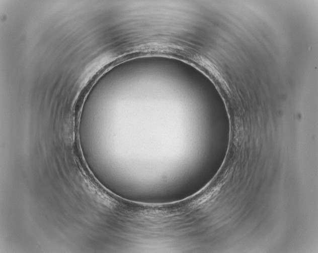 X0000086951075200704231420