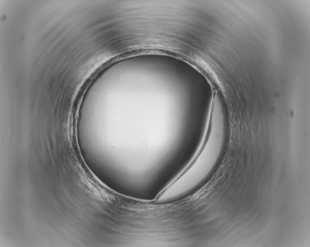 X0000086951076200704231420