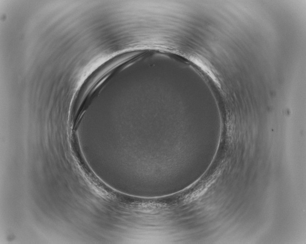 X0000086951077200704231420