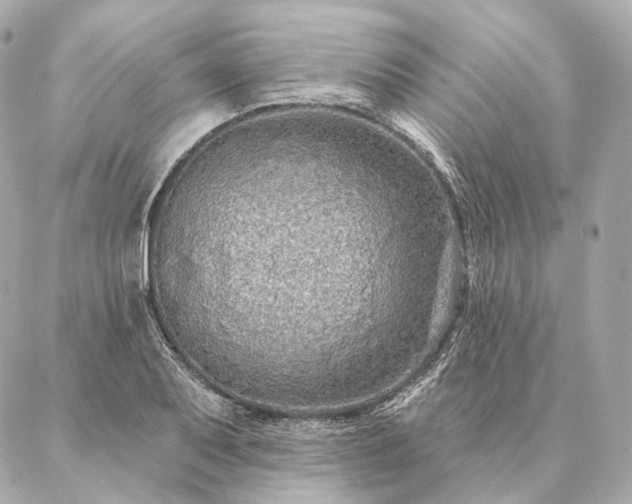 X0000086951079200704231420