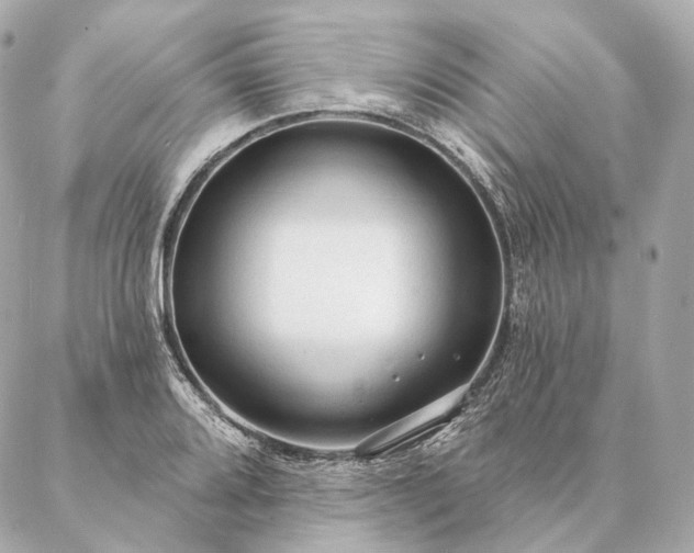 X0000086951080200704231419