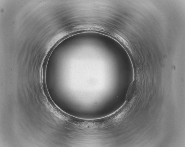 X0000086951082200704231419