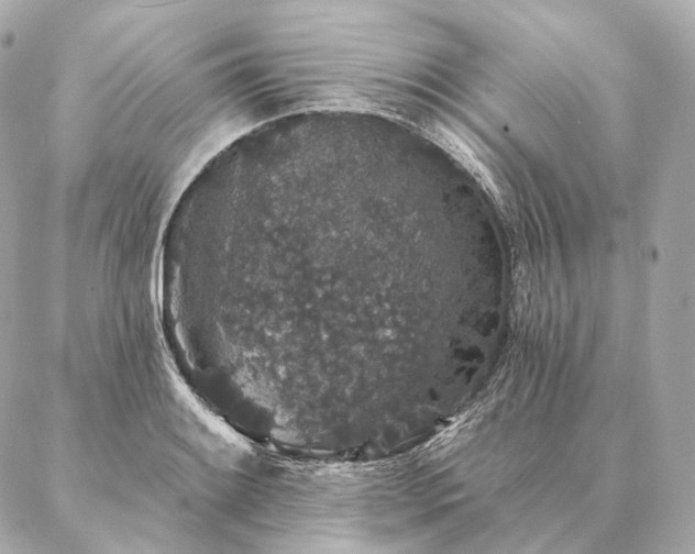 X0000086951084200704231419