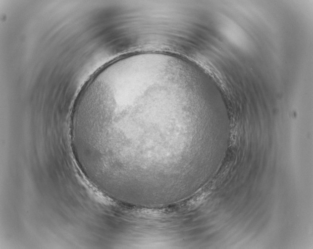 X0000086951086200704231419