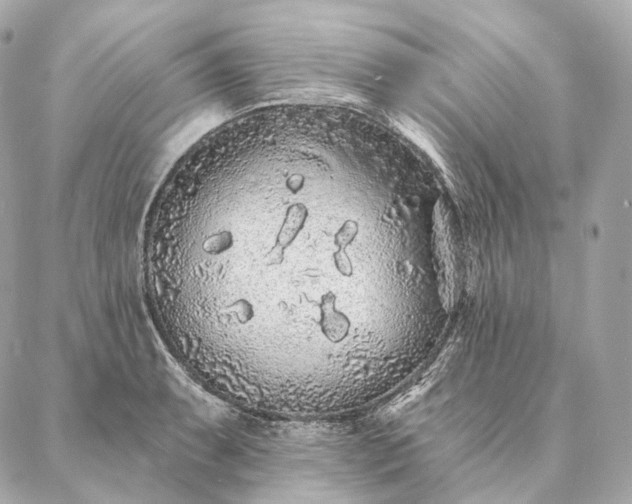 X0000086951087200704231419