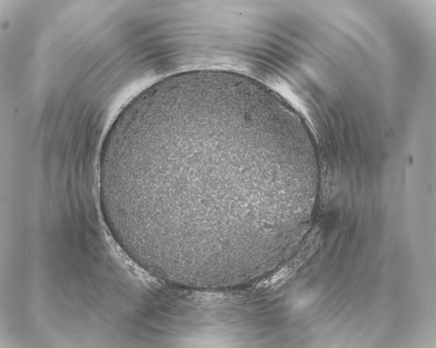 X0000086951088200704231419