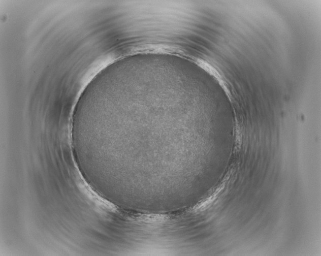 X0000086951090200704231419