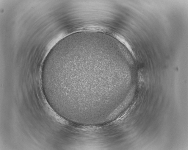 X0000086951091200704231419