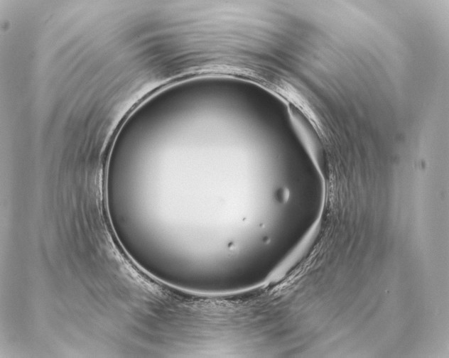 X0000086951092200704231419