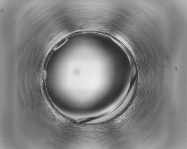 X0000086951093200704231419