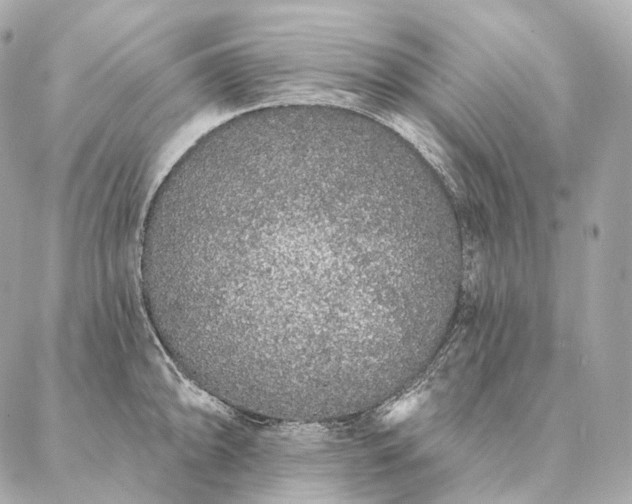 X0000086951094200704231419