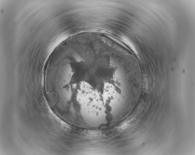 X0000086951095200704231419