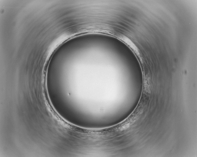 X0000086951096200704231419