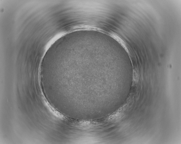 X0000086951098200704231419