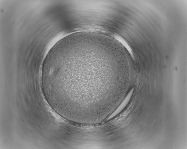 X0000086951099200704231419