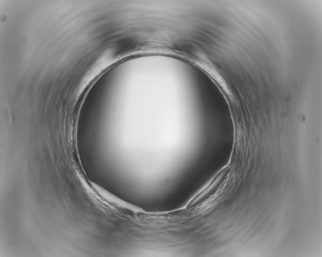 X0000086951101200704231419