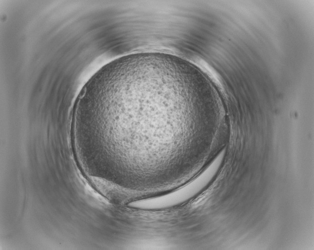 X0000086951102200704231419