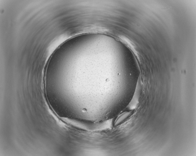 X0000086951103200704231419