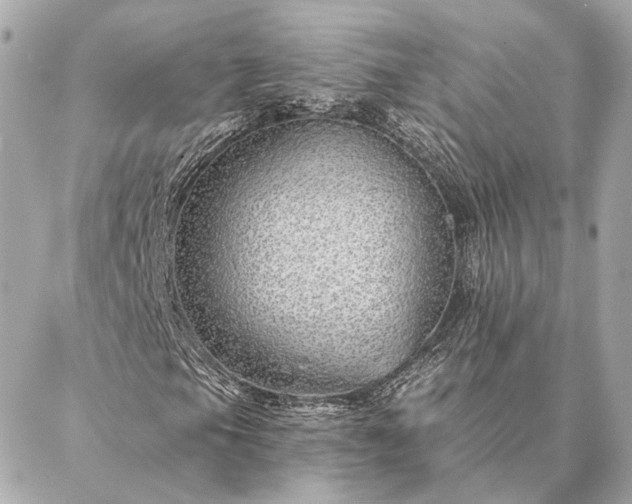 X0000086951105200704231418