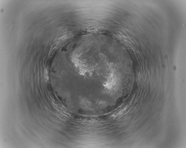 X0000086951106200704231418