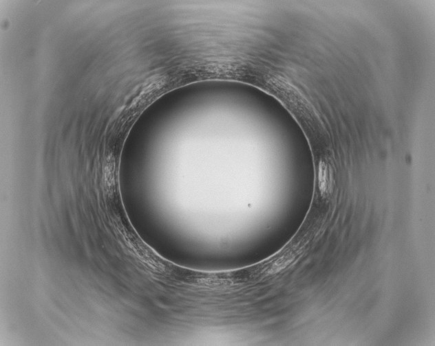 X0000086951107200704231418