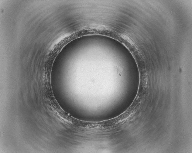 X0000086951112200704231418