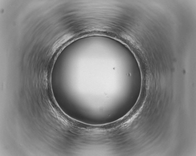 X0000086951113200704231418