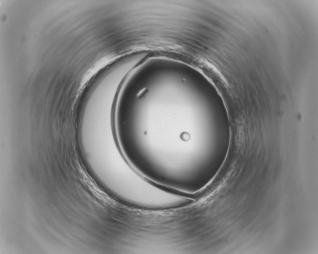 X0000086951114200704231418