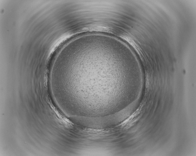 X0000086951115200704231418