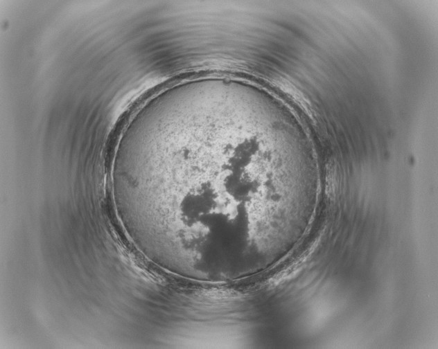 X0000086951117200704231419