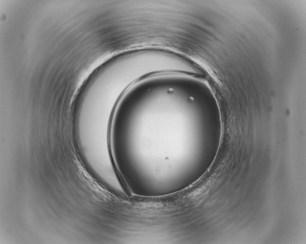 X0000086951118200704231419